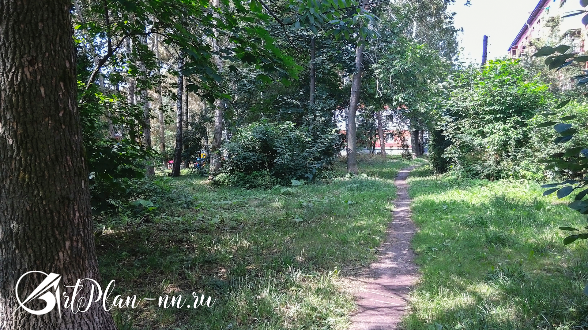 Дворик Фото от 20 июля 2018 Среда в 10:58